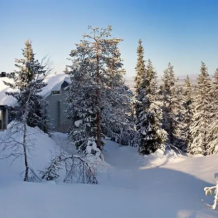 Kotamaeki B * Syöte