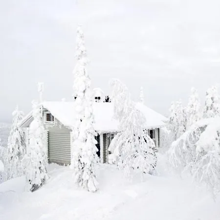 Feriehus Kotamaeki B Syöte