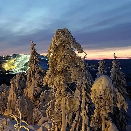 Kotamaeki B Feriehus Syöte