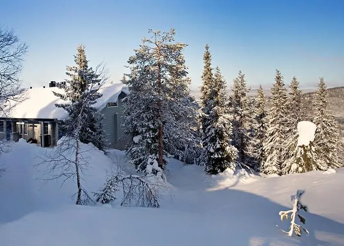 Kotamaeki B * Syöte