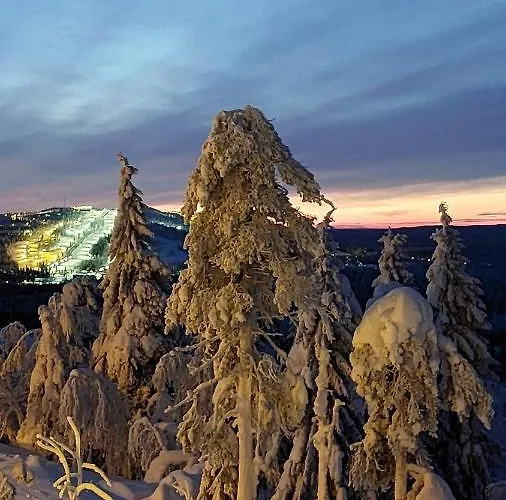 Kotamaeki B بيت للعطل Syöte