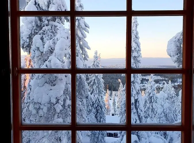 Kotamaeki B * Syöte